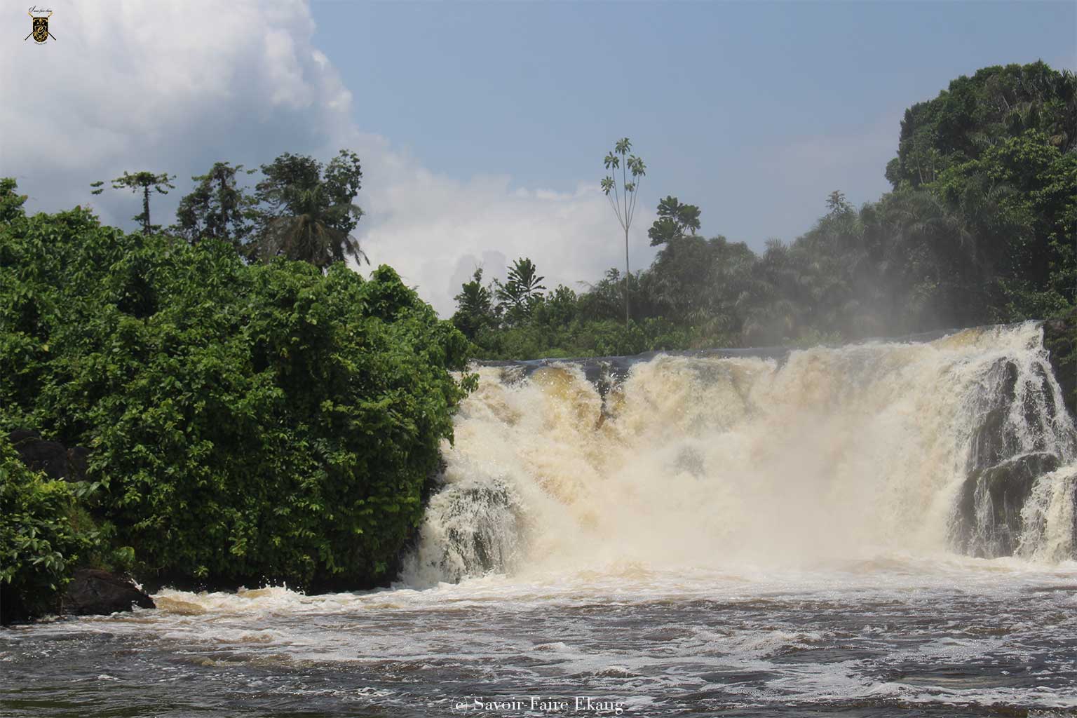 Les chutes de la Lobé, site touristique phare au Cameroun
