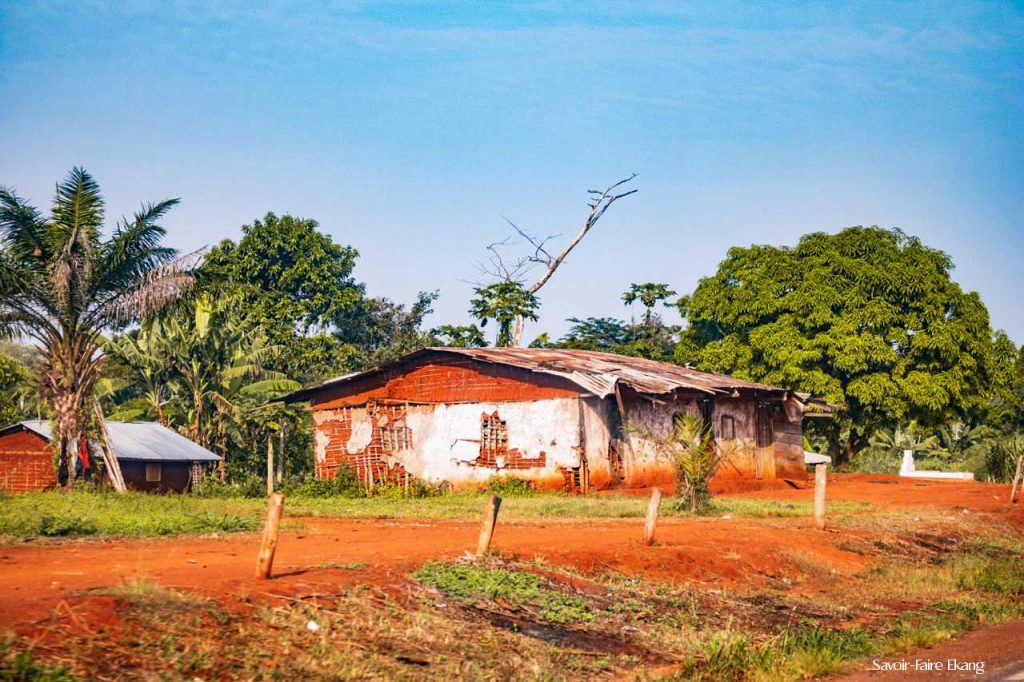 Village Cameroun