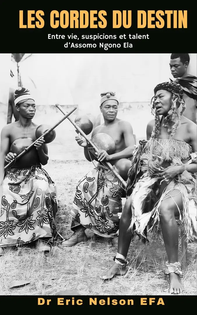 Livre Assomo Ngono Ella