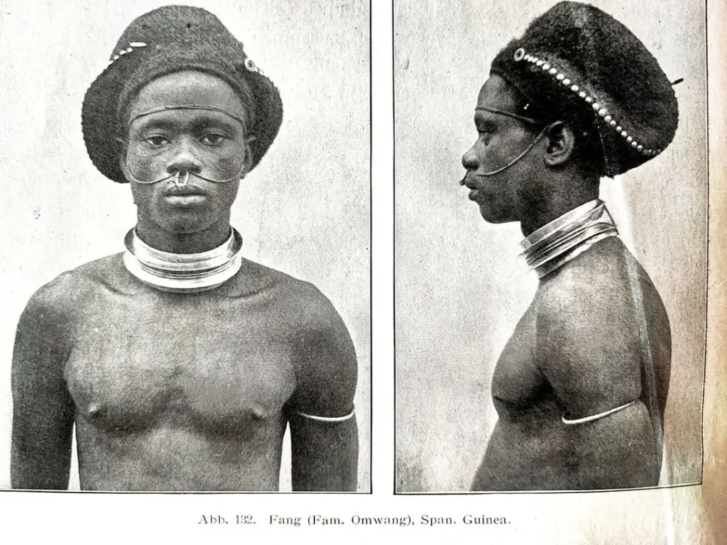 Omvang guinée équatoriale